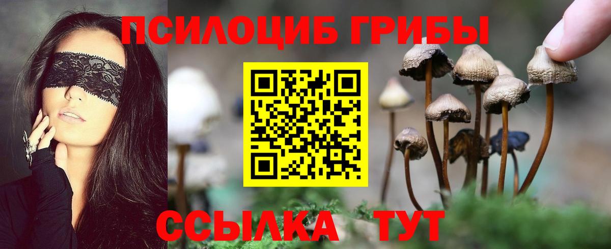 Сокол  Галлюциногенные грибы мицелий  Вход с VPN 
